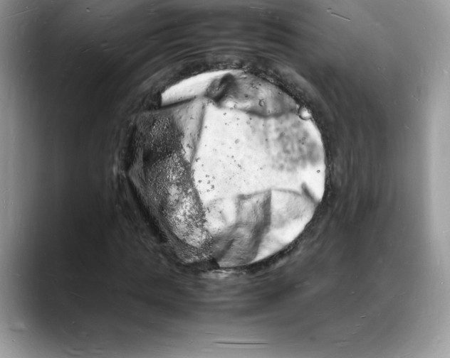 X0000088030821200706081459