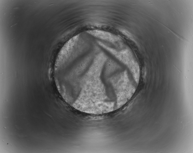 X0000088030822200706081459