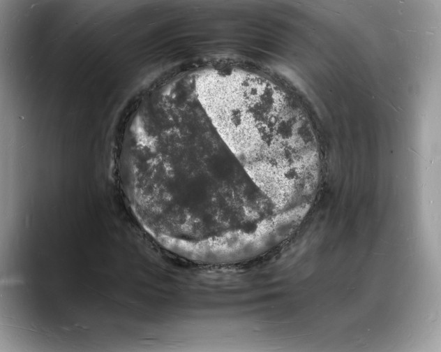 X0000088030823200706081459