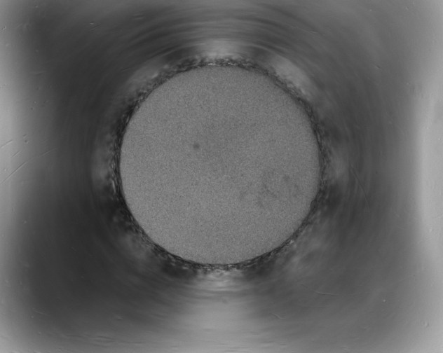 X0000088030824200706081459