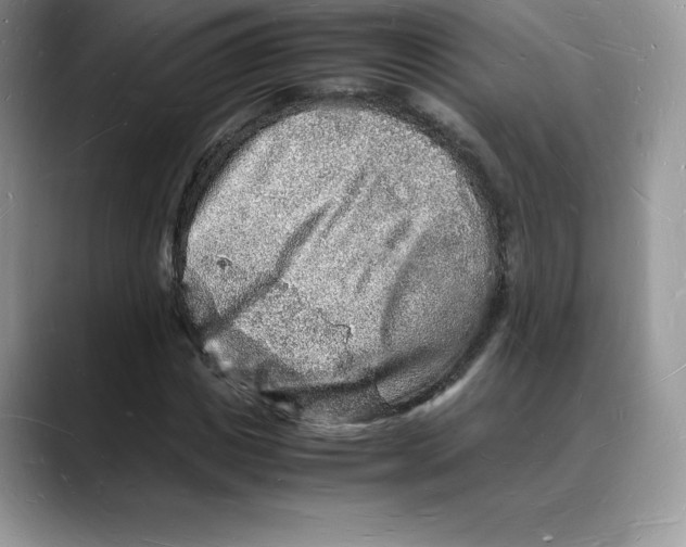 X0000088030825200706081459