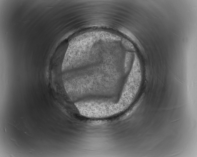 X0000088030826200706081459