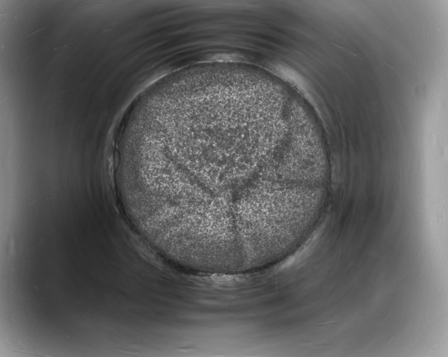 X0000088030827200706081459