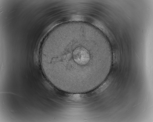 X0000088030828200706081459
