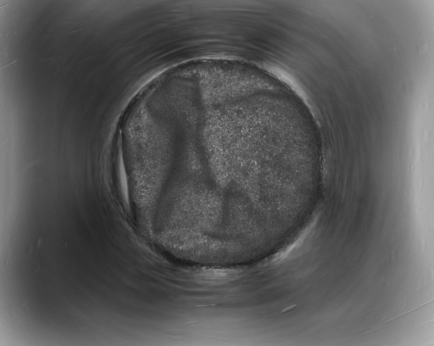 X0000088030829200706081459