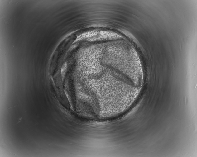 X0000088030830200706081500