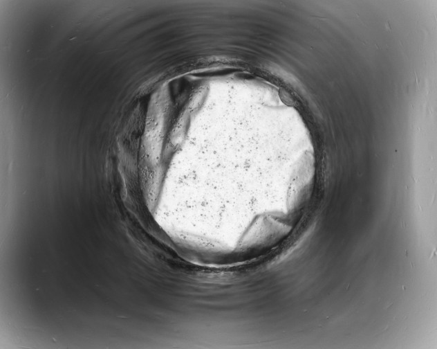 X0000088030833200706081500