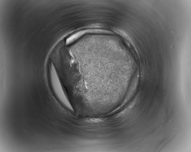 X0000088030835200706081500