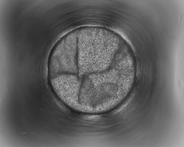 X0000088030837200706081500