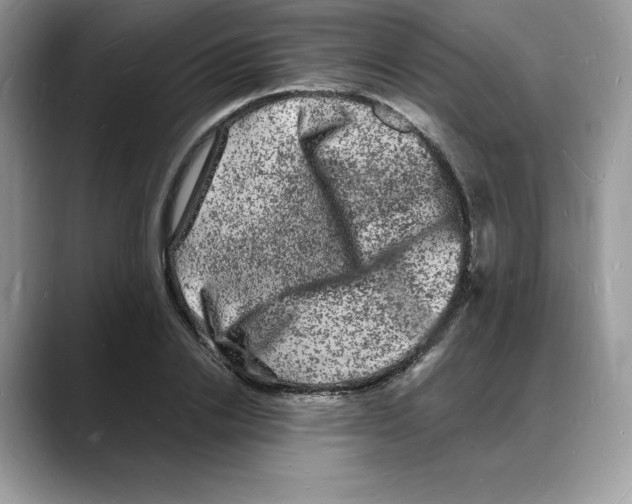 X0000088030838200706081500