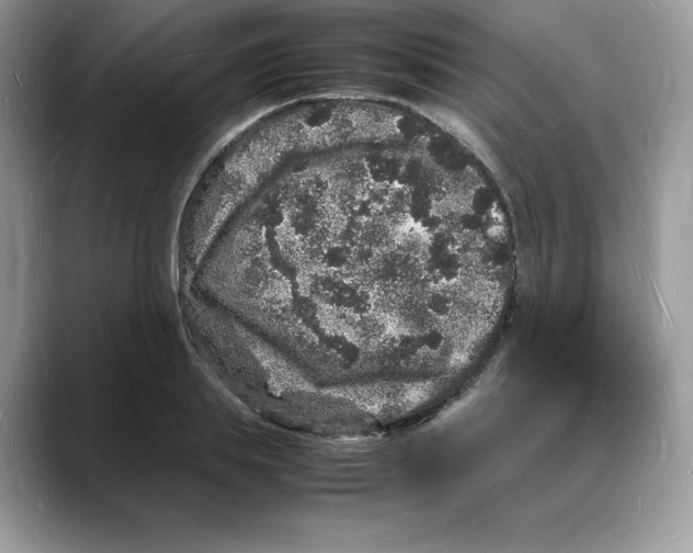X0000088030839200706081500