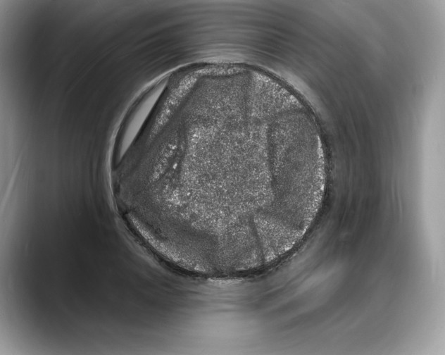 X0000088030840200706081500