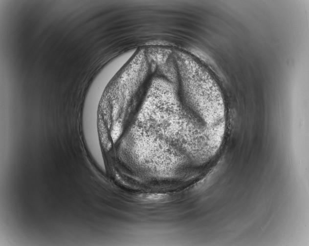 X0000088030841200706081500