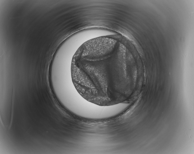 X0000088030842200706081500