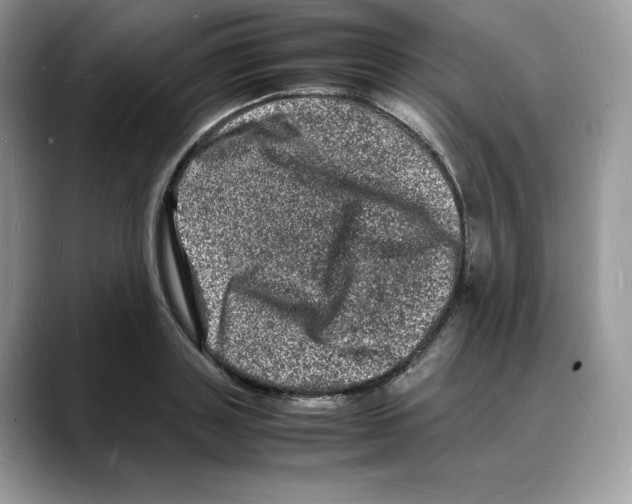 X0000088030843200706081500