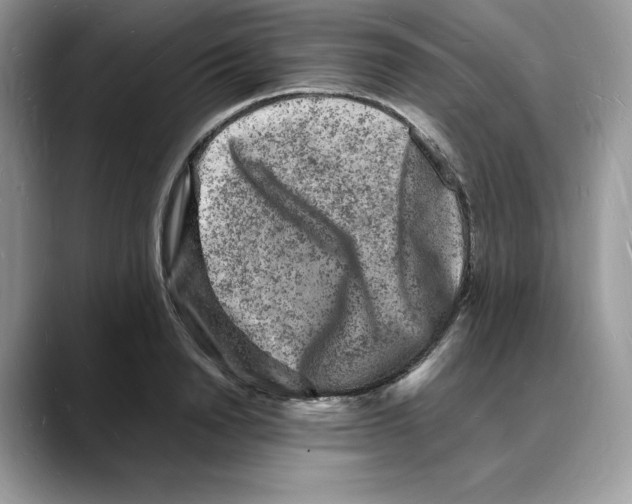 X0000088030846200706081500
