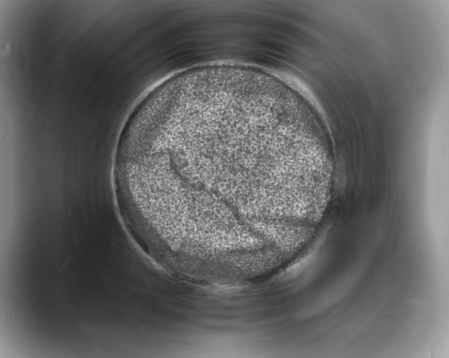 X0000088030847200706081500