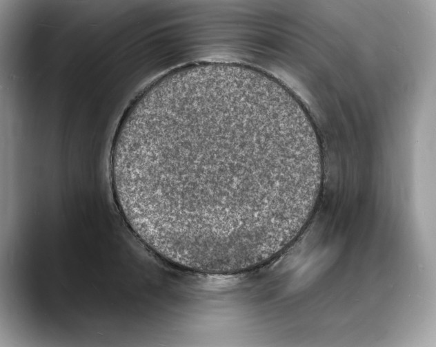 X0000088030848200706081500