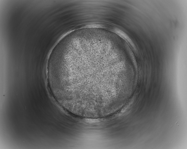 X0000088030852200706081500
