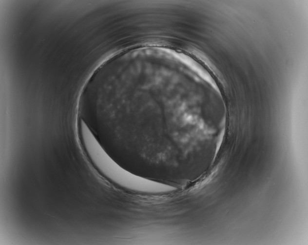 X0000088030853200706081500