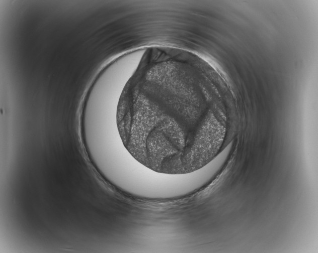 X0000088030854200706081500