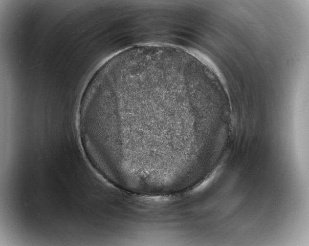 X0000088030855200706081500