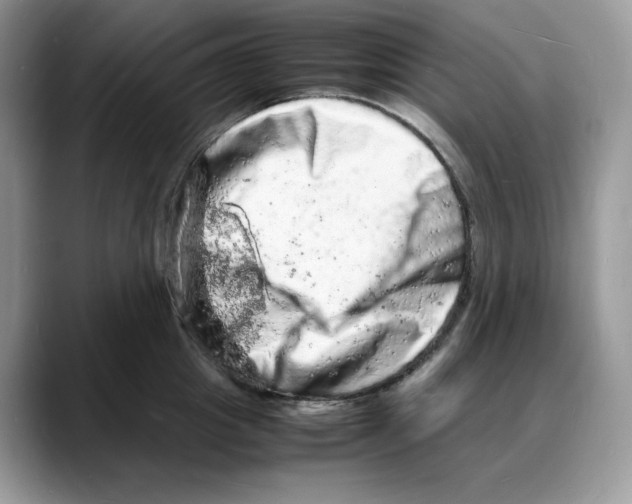 X0000088030857200706081500