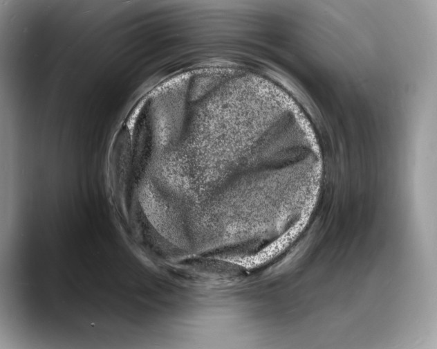 X0000088030858200706081500