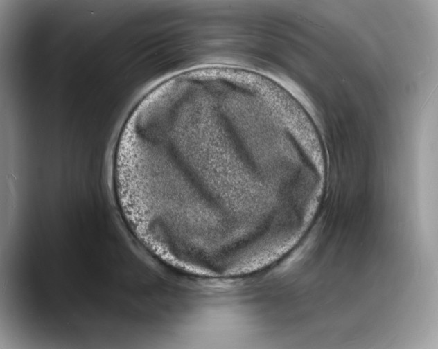 X0000088030862200706081500