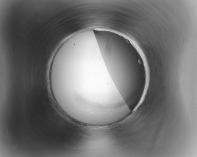 X0000088030864200706081500