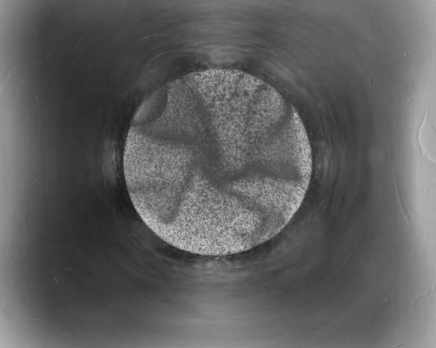 X0000088030866200706081459