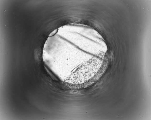 X0000088030867200706081459