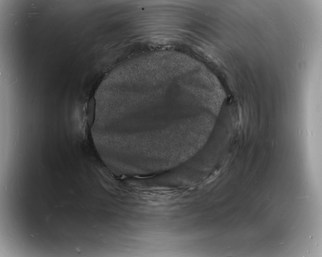 X0000088030868200706081459
