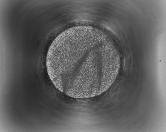 X0000088030870200706081459