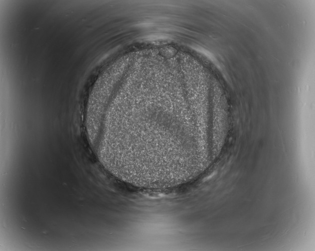 X0000088030871200706081459