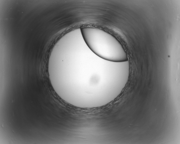 X0000088030872200706081459