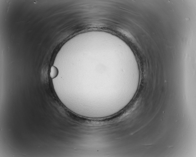 X0000088030873200706081459