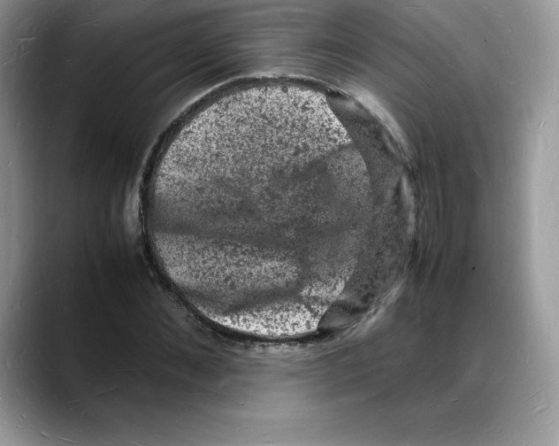 X0000088030876200706081459