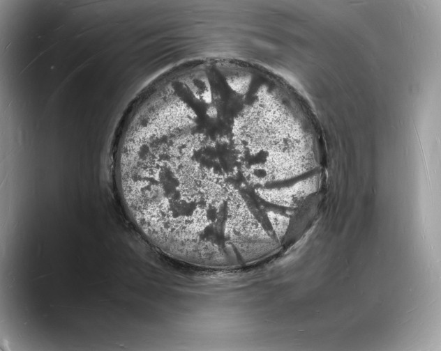 X0000088030879200706081459