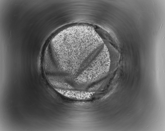 X0000088030880200706081459