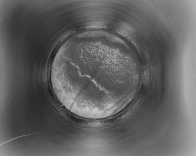 X0000088030882200706081459