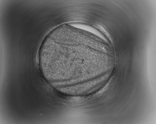 X0000088030883200706081459