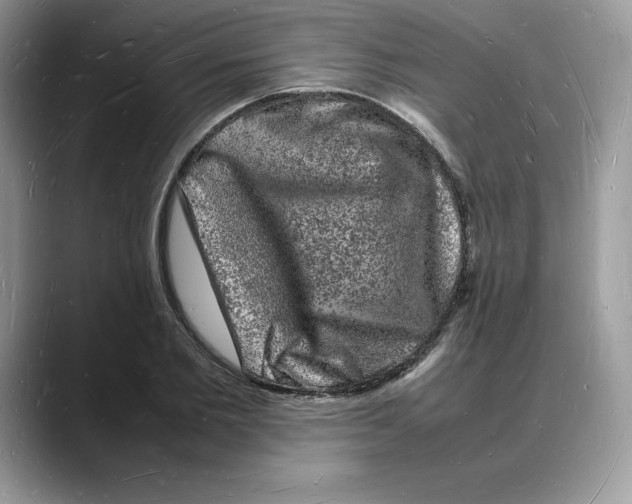 X0000088030885200706081459