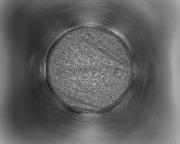 X0000088030886200706081459