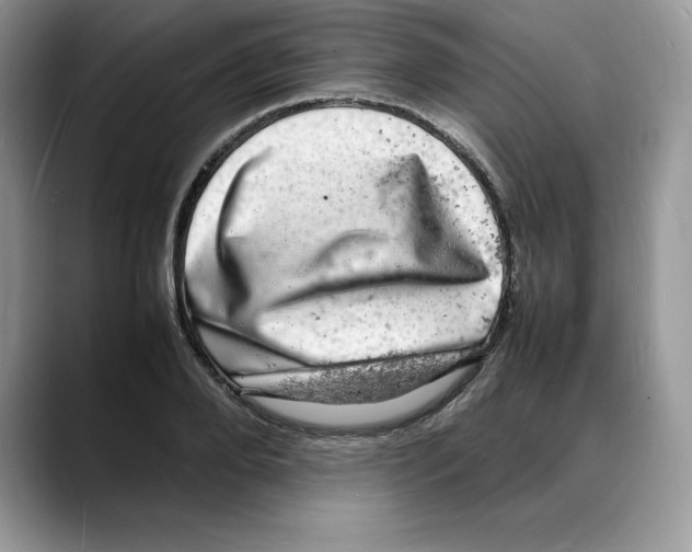 X0000088030888200706081459