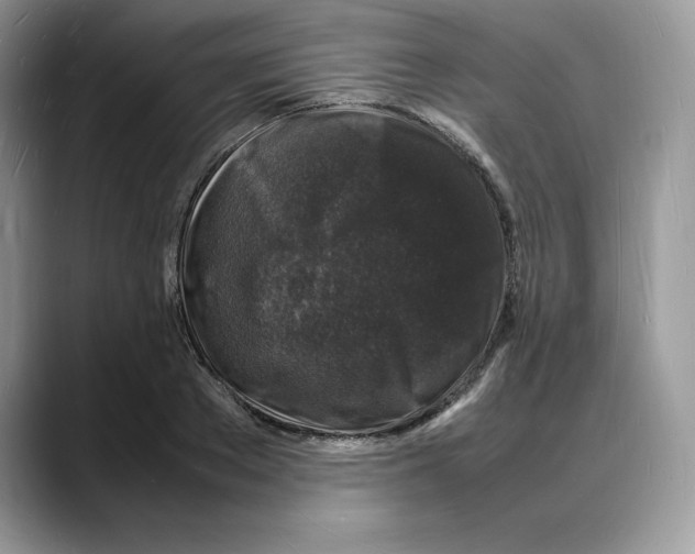 X0000088030889200706081459