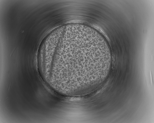 X0000088030890200706081459
