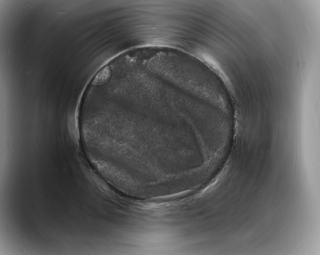 X0000088030892200706081459