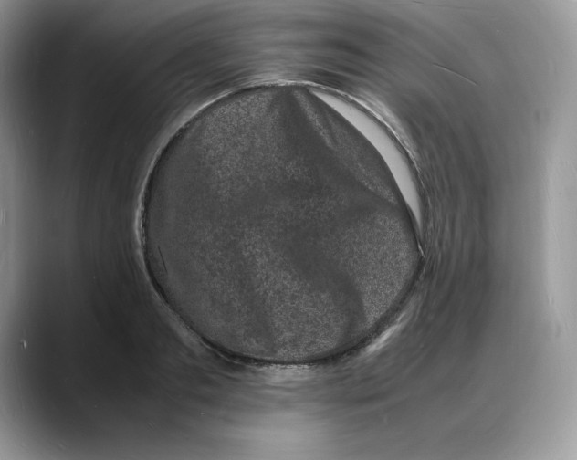 X0000088030893200706081459