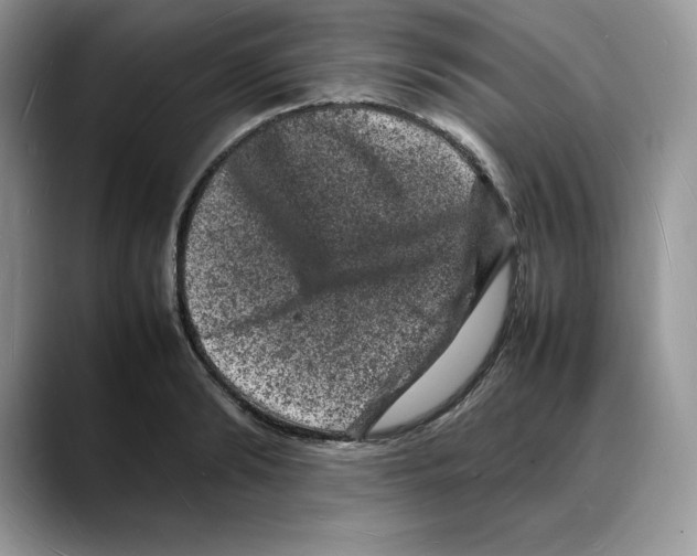 X0000088030894200706081459